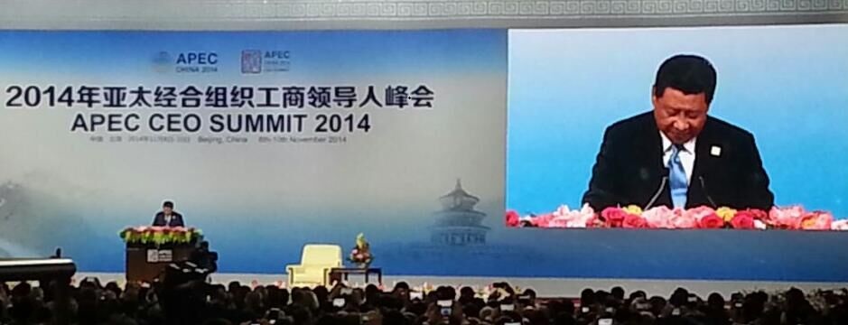 2014亚太经合组织工商领导人峰会